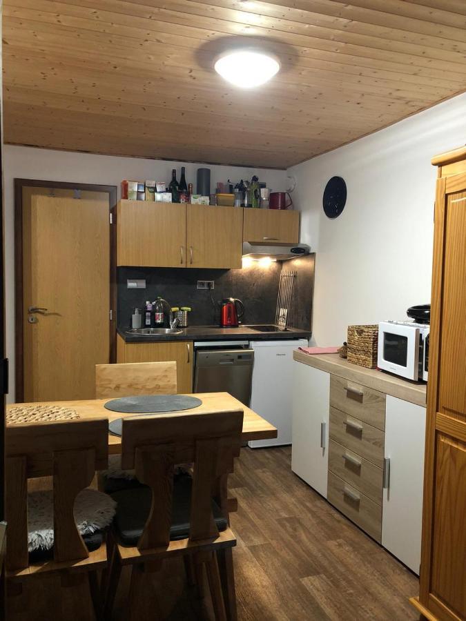 Apartman S Vyhledem Na Jezerni Stenu Železná Ruda Екстериор снимка