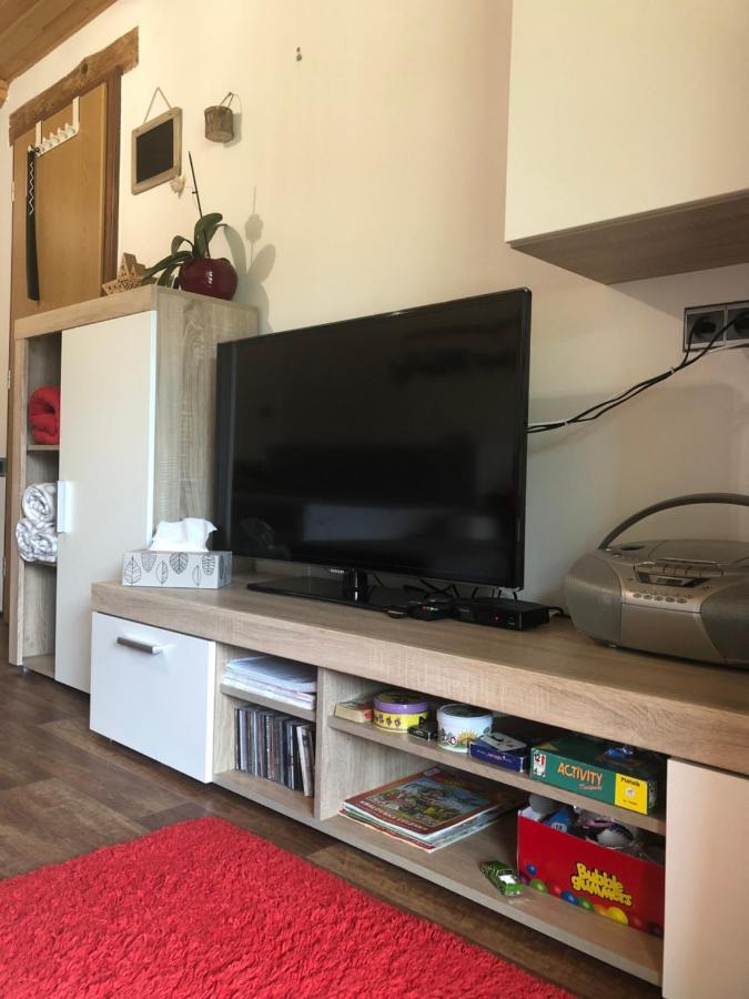 Apartman S Vyhledem Na Jezerni Stenu Železná Ruda Екстериор снимка