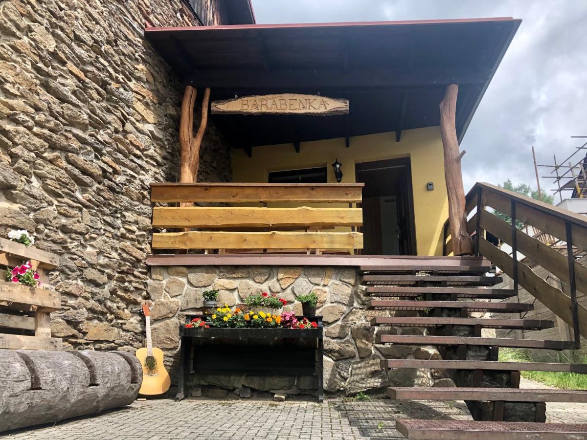 Apartman S Vyhledem Na Jezerni Stenu Železná Ruda Екстериор снимка