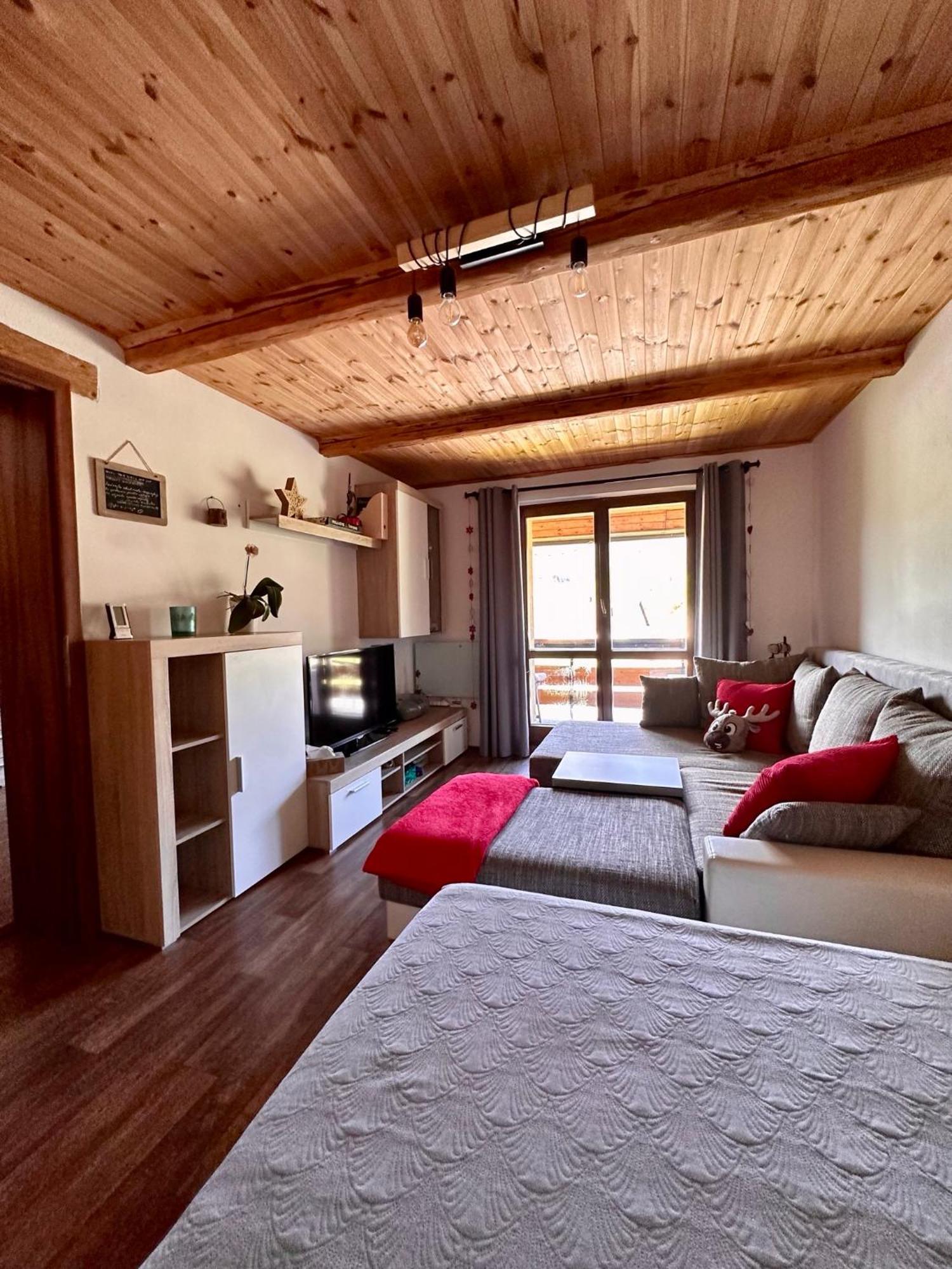 Apartman S Vyhledem Na Jezerni Stenu Železná Ruda Екстериор снимка